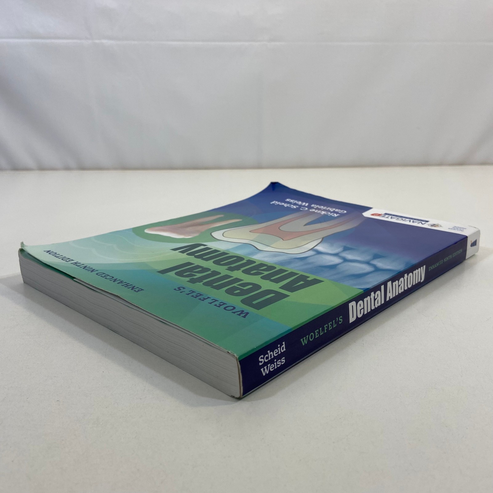 Woelfel’s Dental Anatomy Rickne C Scheid Gabriela Weiss Enhanced Ninth Edition