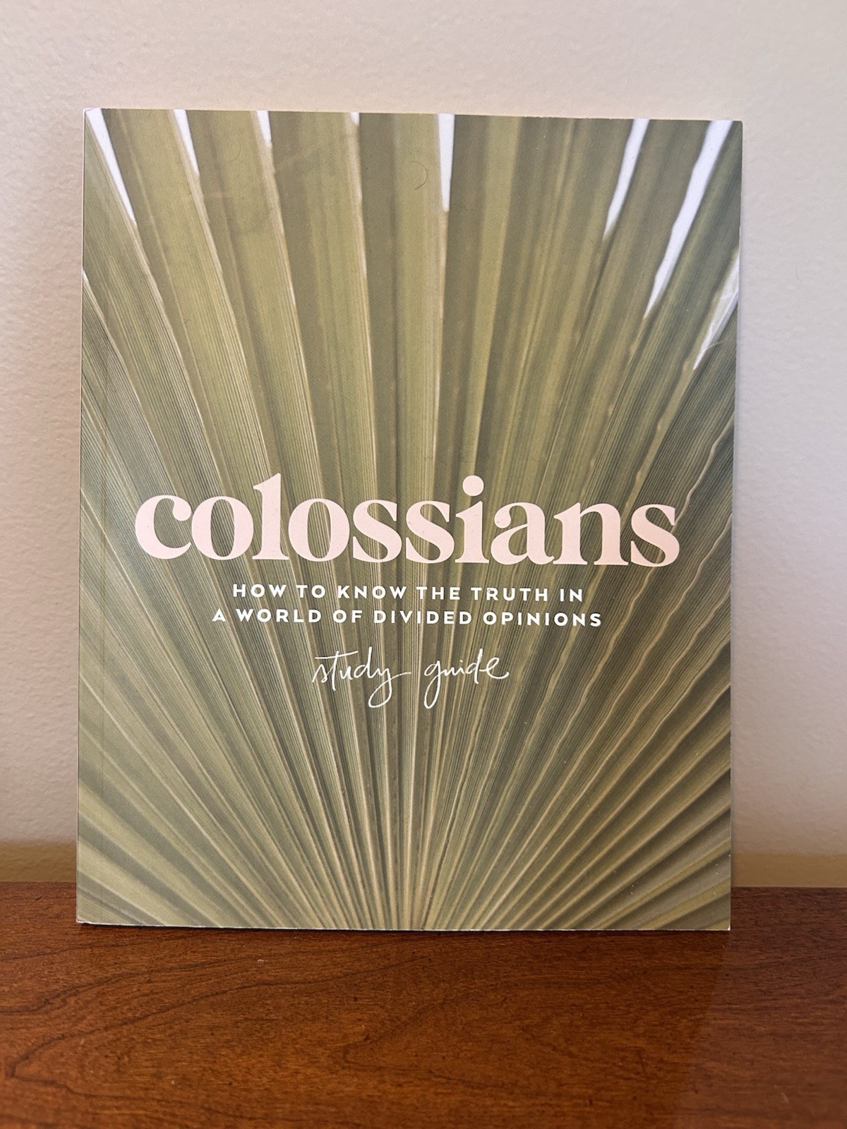 Colossians : How to Know the Truth in a World of Divided Opinions by Proverbs 31