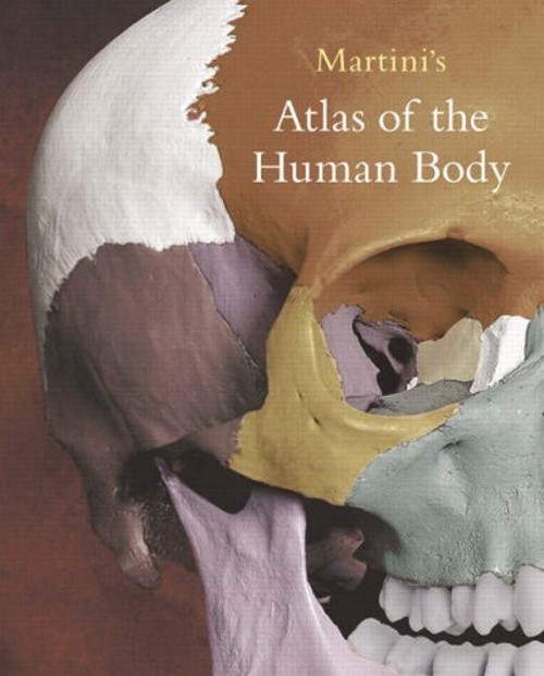 Martini’s Atlas of the Human Body Spiral Frederic, Ober, William