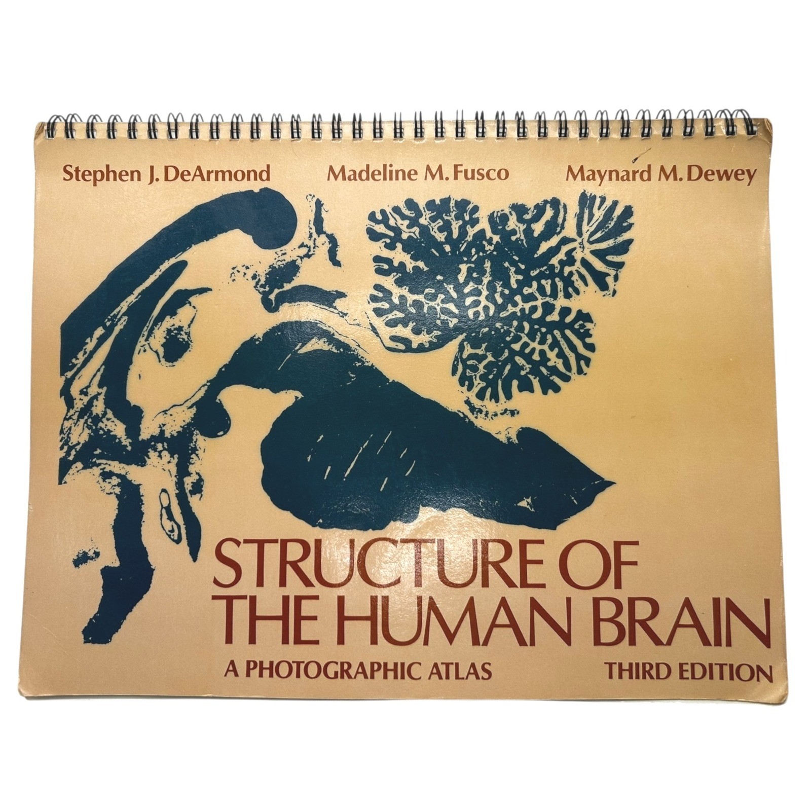 Structure of the Human Brain A Photographic Atlas Third Edition Textbook