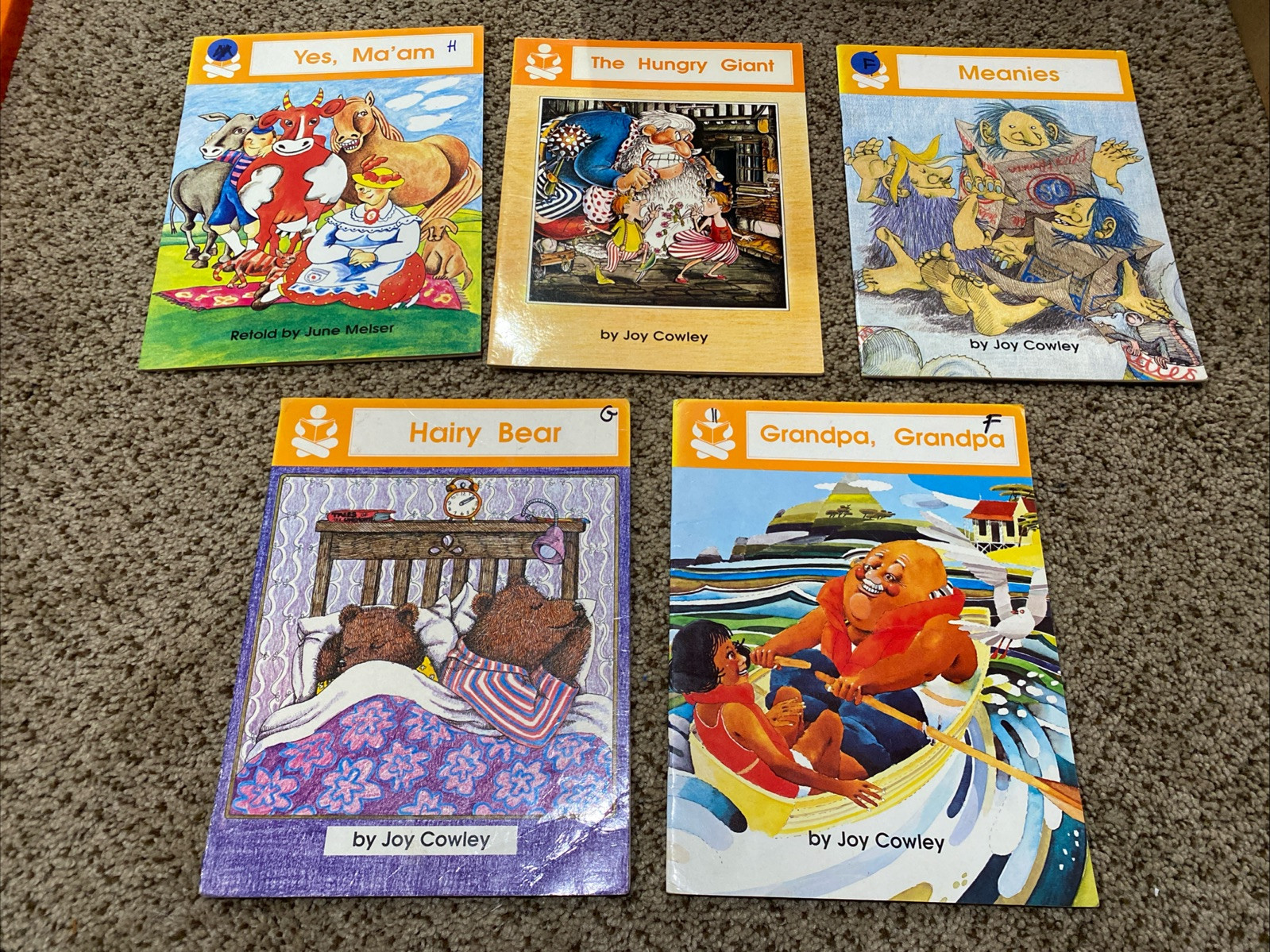1990s Lot of 5 Joy Cowley June Meiser The Story Box Books Leveled Readers