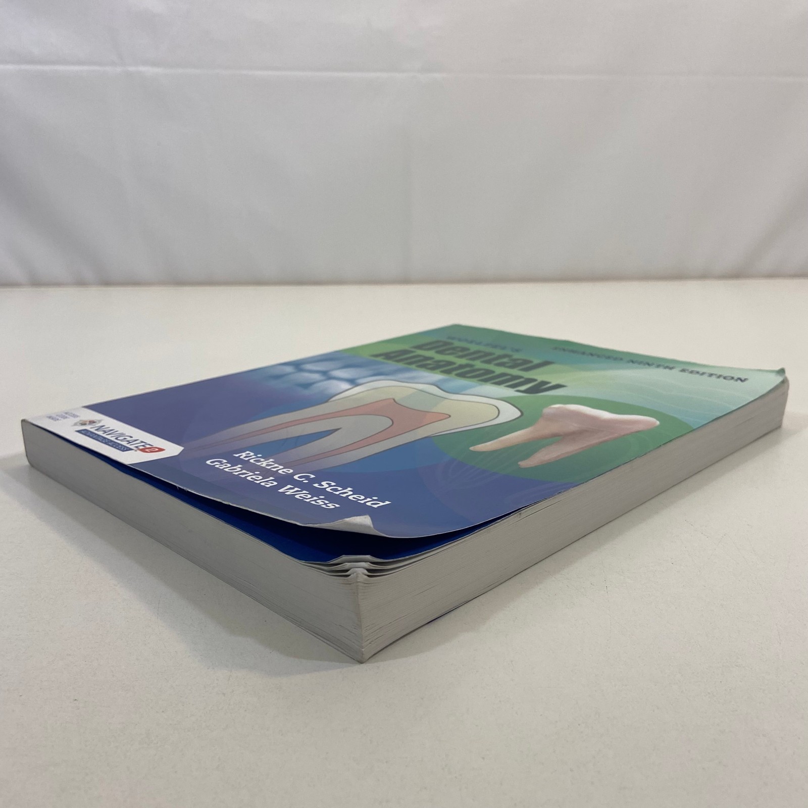 Woelfel’s Dental Anatomy Rickne C Scheid Gabriela Weiss Enhanced Ninth Edition