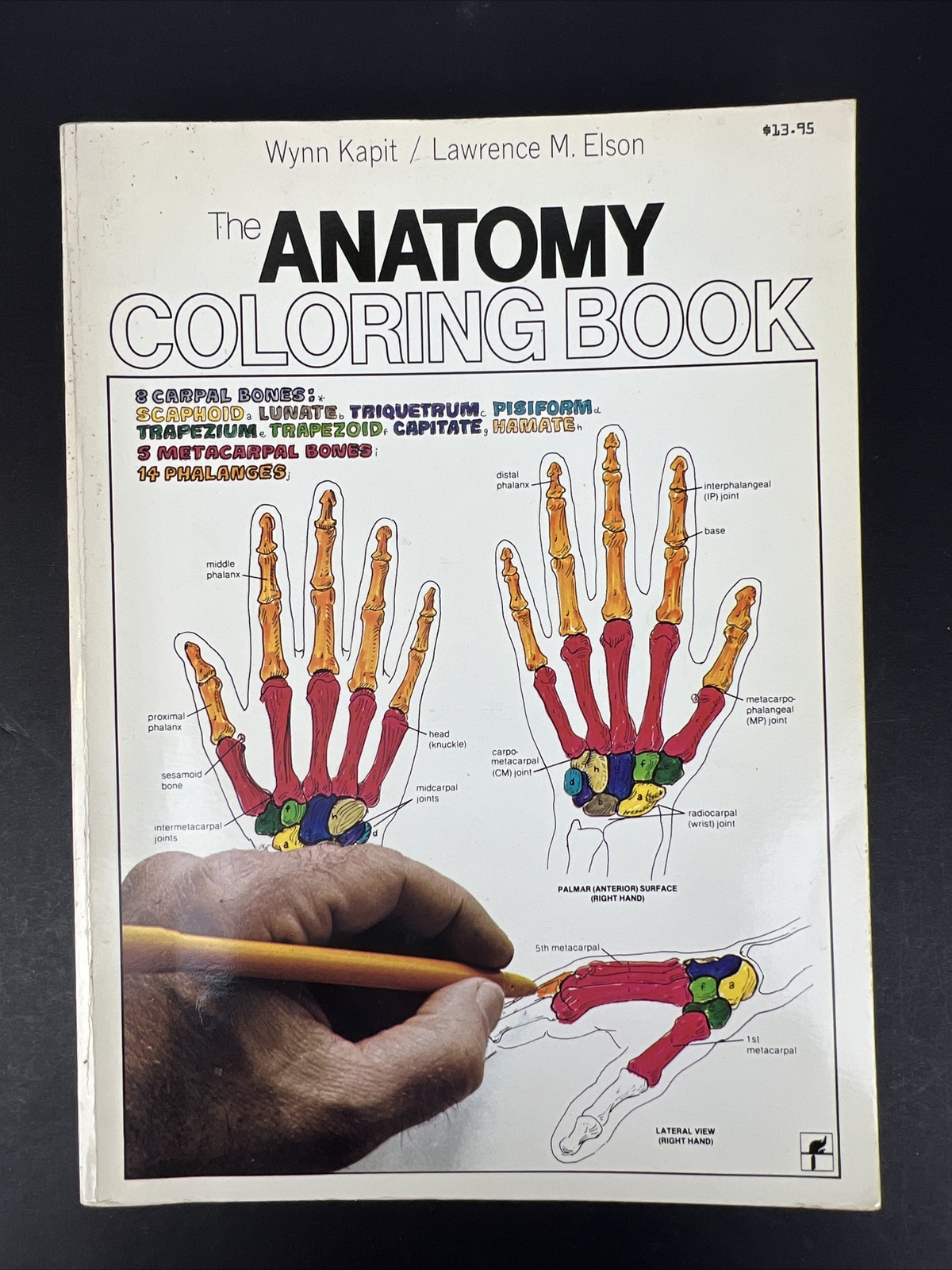 The Anatomy Coloring Book – Paperback By Kapit, Wynn 1977 Unused