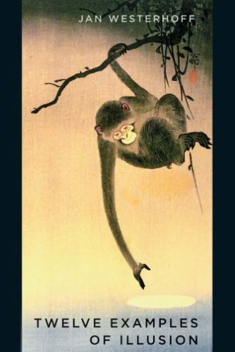 Twelve Examples of Illusion, Hardcover by Westerhoff, Jan, Brand New, Free sh…