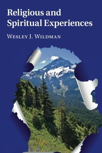 RELIGIOUS AND SPIRITUAL EXPERIENCES By Wesley J. Wildman *Excellent Condition*