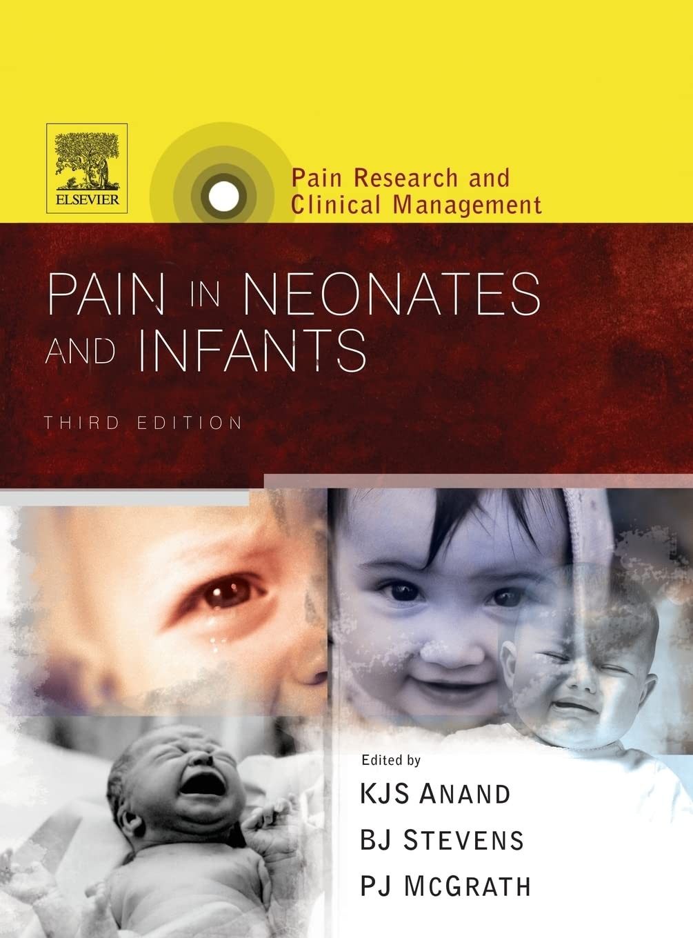 Pain in Neonates and Infants: Pain Research and Clinical Management Series (…