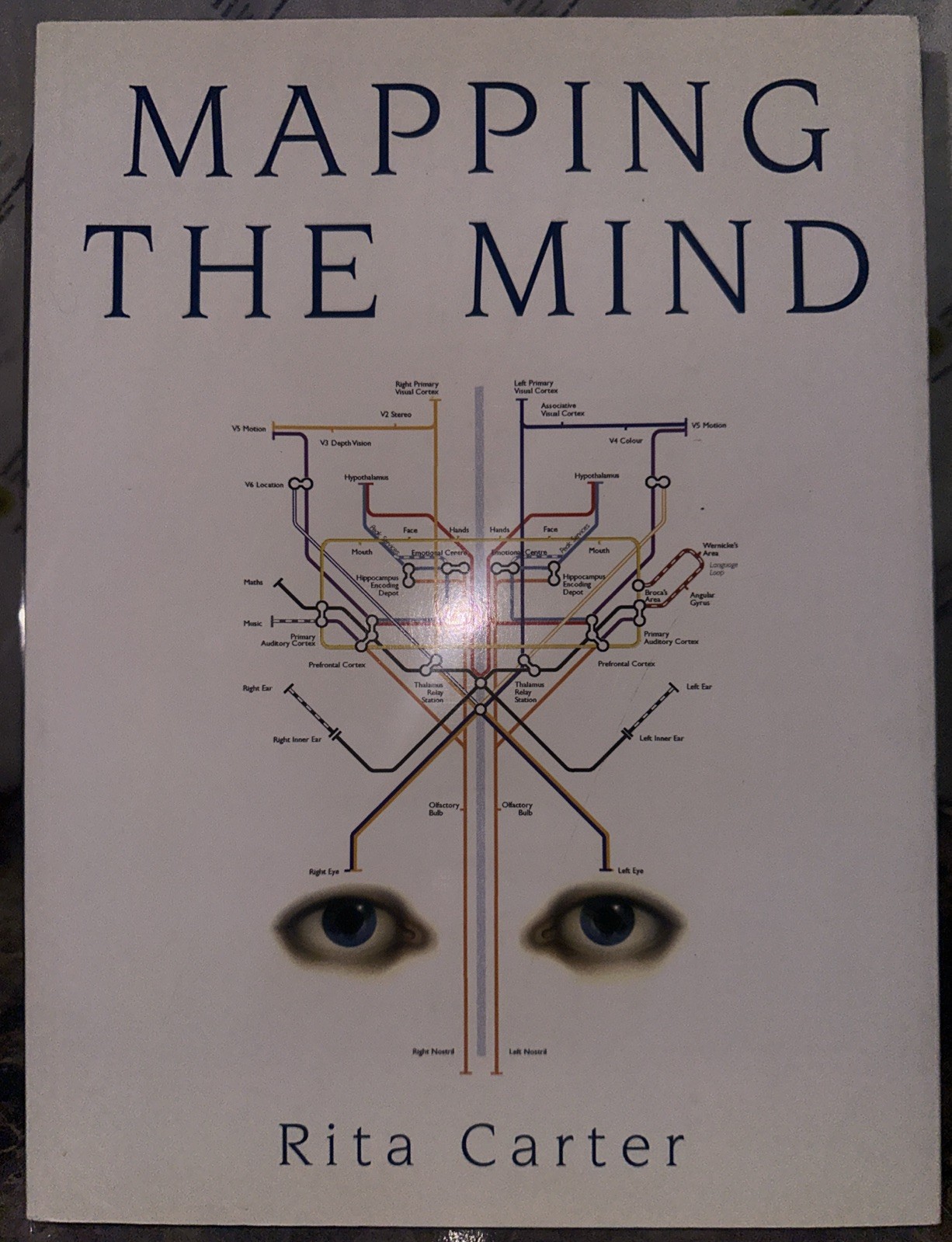 Mapping the Mind by Rita Carter (1999, Paperback)