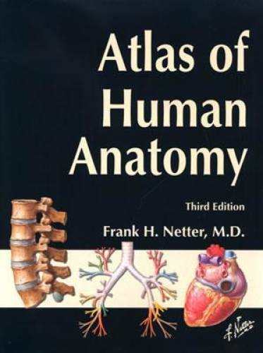 Atlas of Human Anatomy, Third Edition – Paperback By Frank H. Netter – GOOD