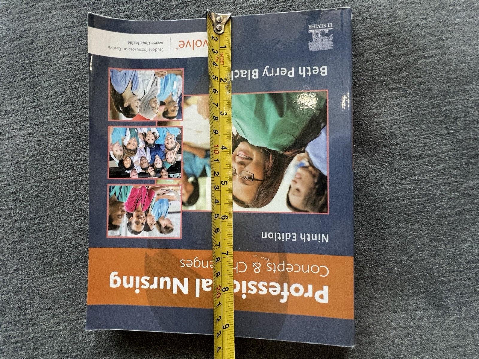 Professional Nursing : Concepts and Challenges by Beth Black (2019, Trade…