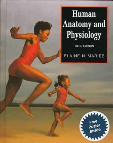 Human Anatomy and Physiology – Hardcover, by Elaine N. Marieb – Very Good
