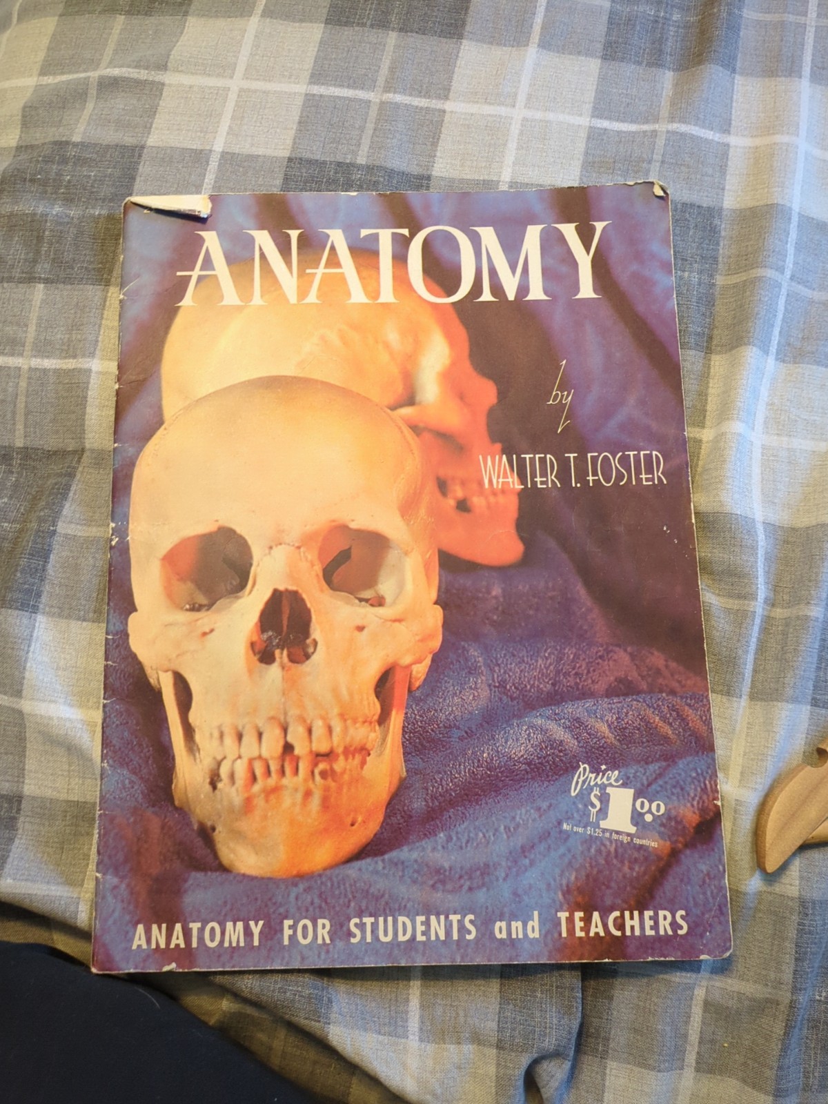Anatomy For Students and Teachers by Walter Foster 1962 No. 21 Vintage Art Book