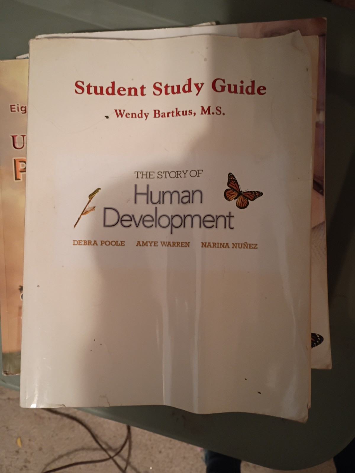 Story of Human Development by Debra Poole (2007, Trade Paperback)