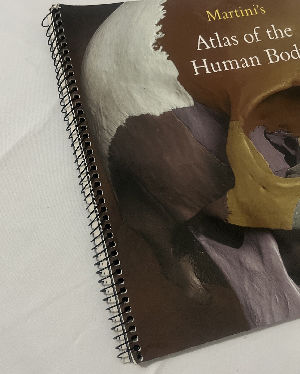 Martini’s Atlas of the Human Body Spiral Binding by Frederic H. Martini, PH.D 