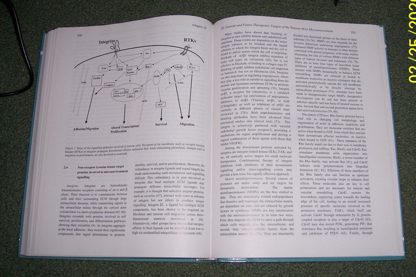 Integration/Interaction of Oncologic Growth. Hans E. Kaiser, Springer 2005 NEW!