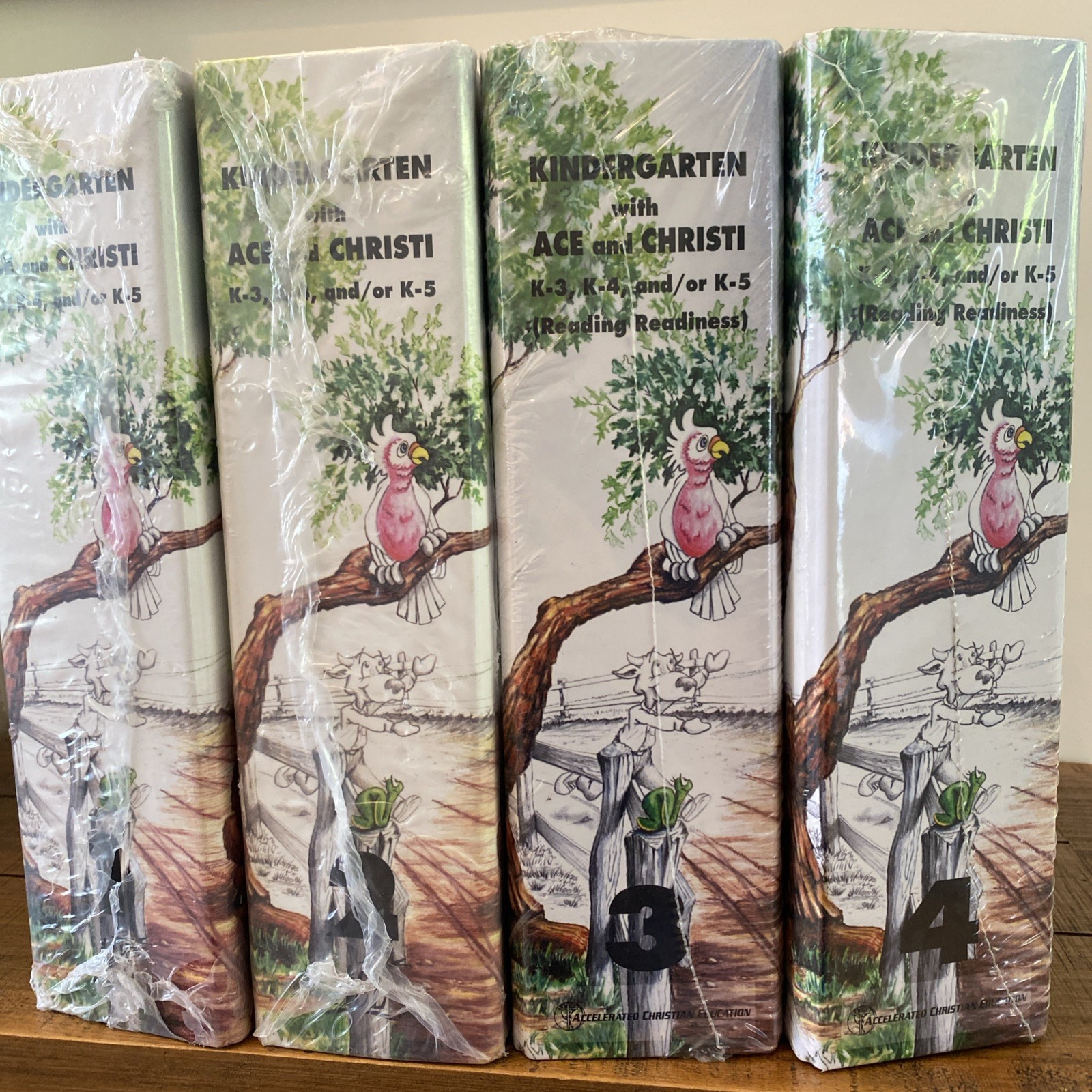 Kindergarten with Ace and Christi Teacher Kit 4 Volumes Sealed