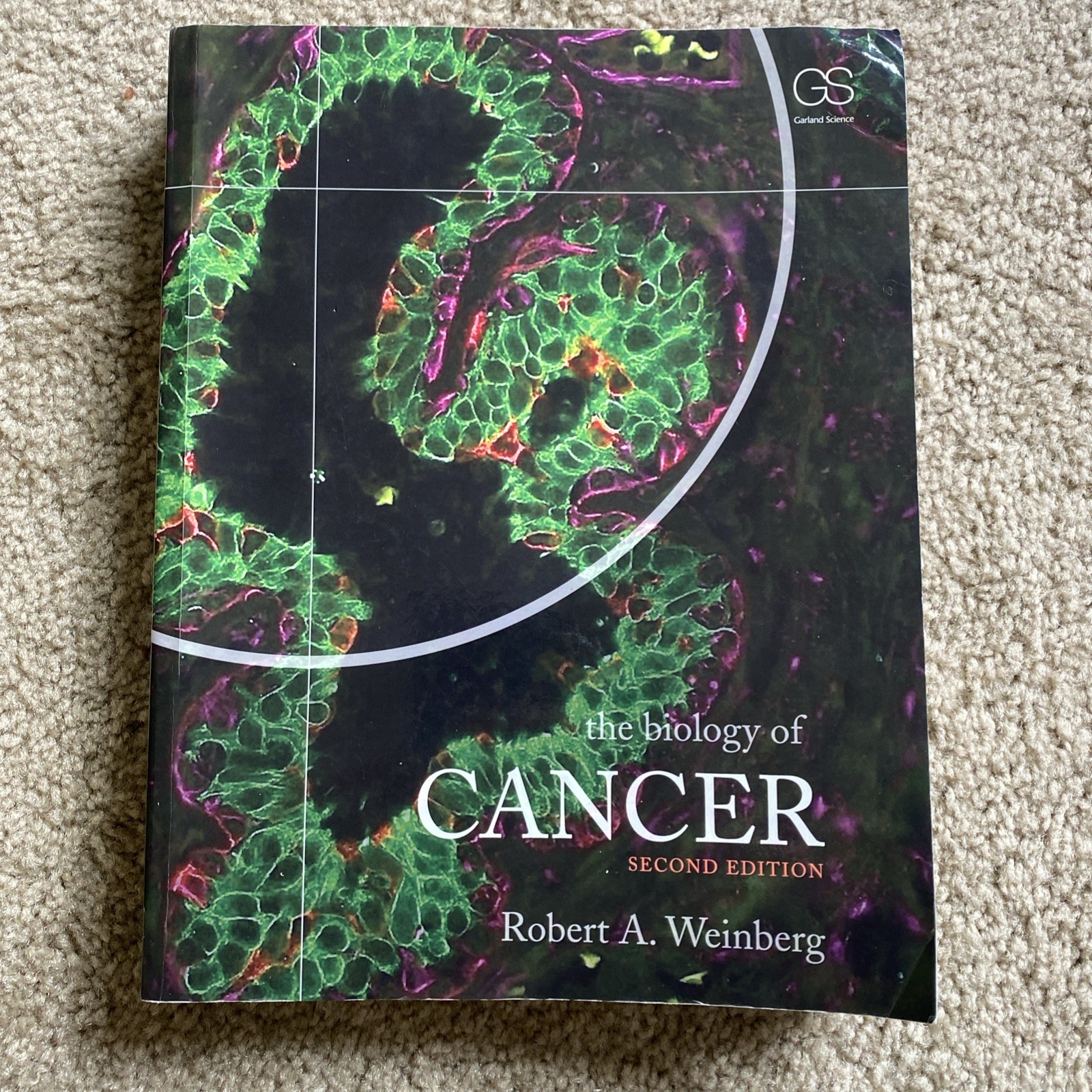 Biology of Cancer by Robert A. Weinberg (2013, Uk-B Format Paperback)