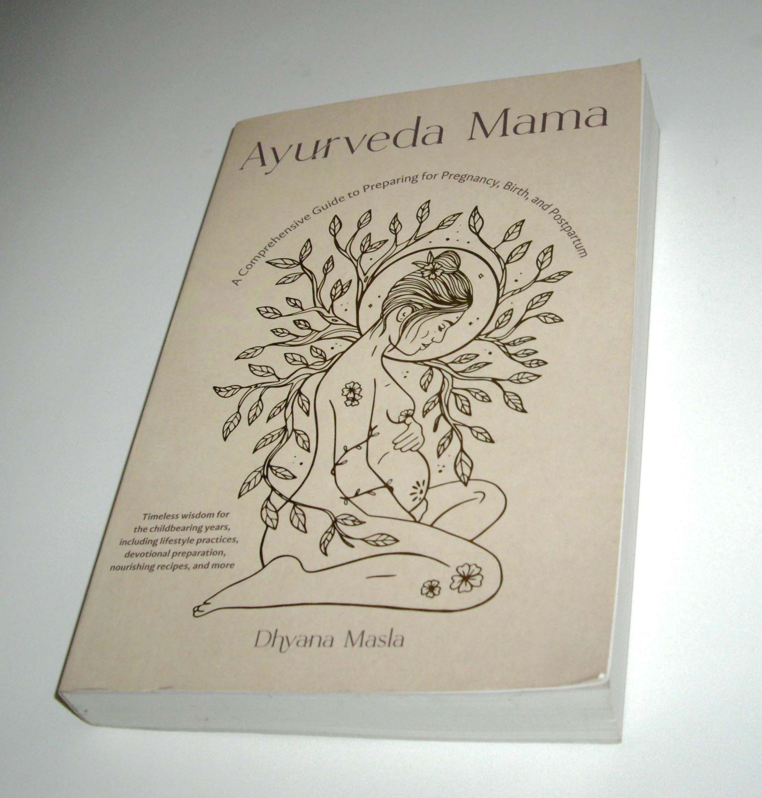 Ayurveda Mama: A Comprehensive Guide to Preparing for Pregnancy Masla Dhyana