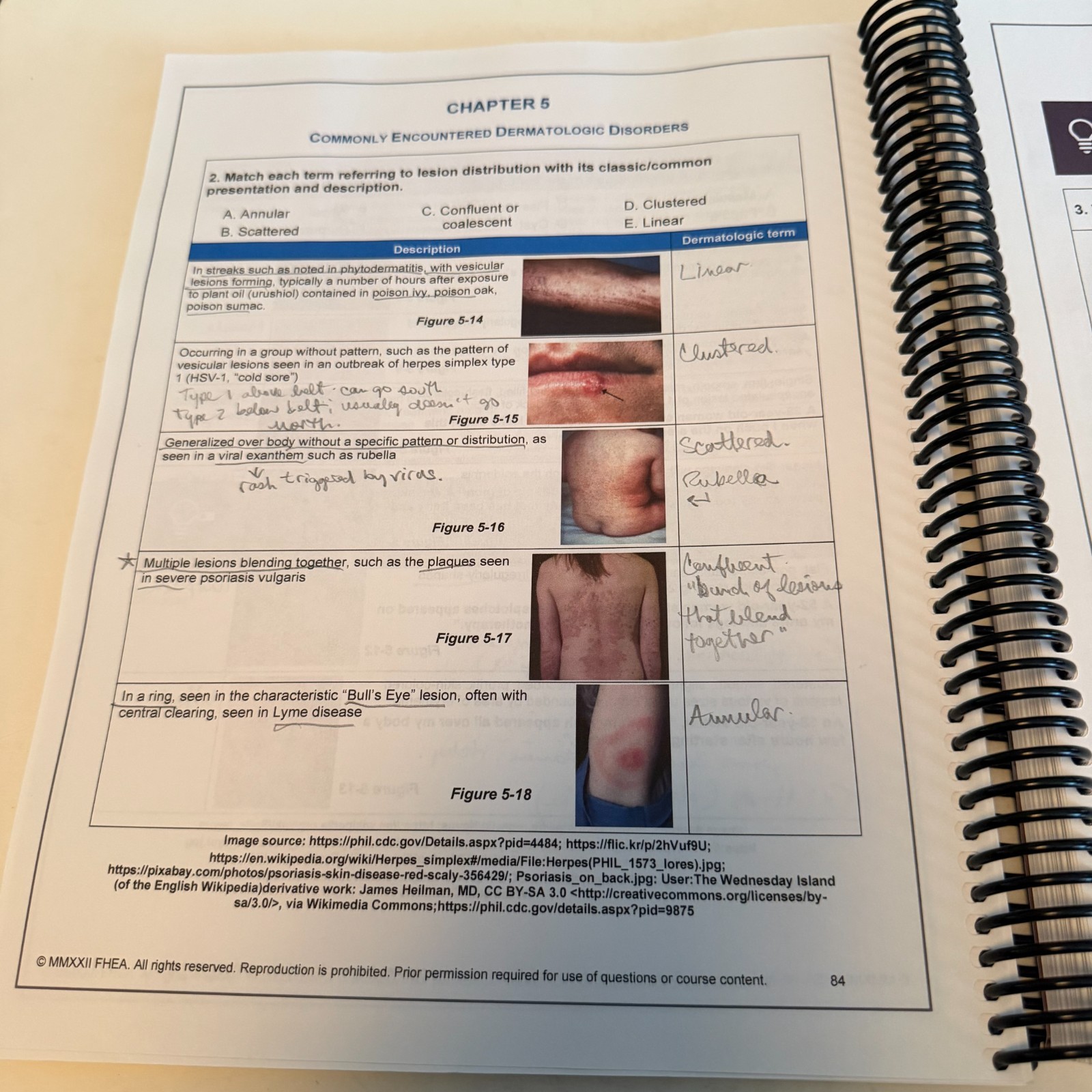 Fitzgerald Nurse Practitioner Certification Exam Review Advanced Practice Update