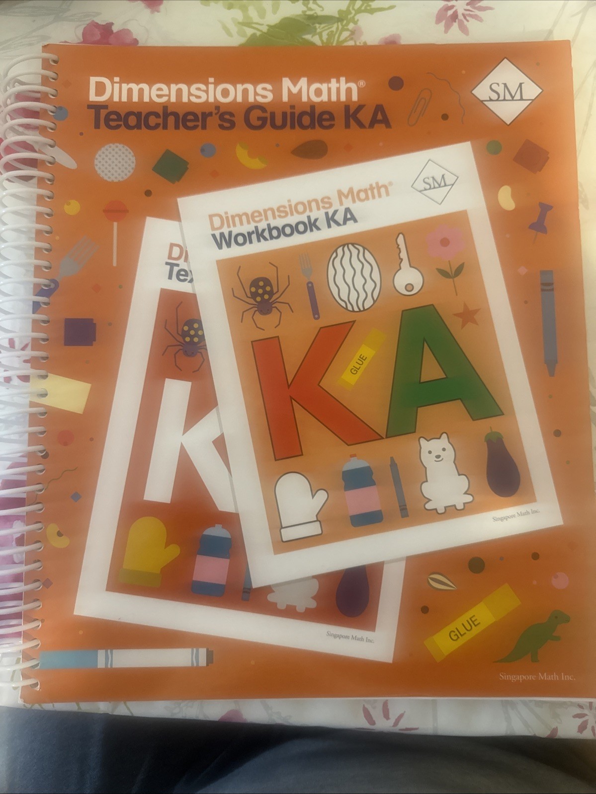Dimensions Math Teacher’s Guide KA by Not Available (Spiral)