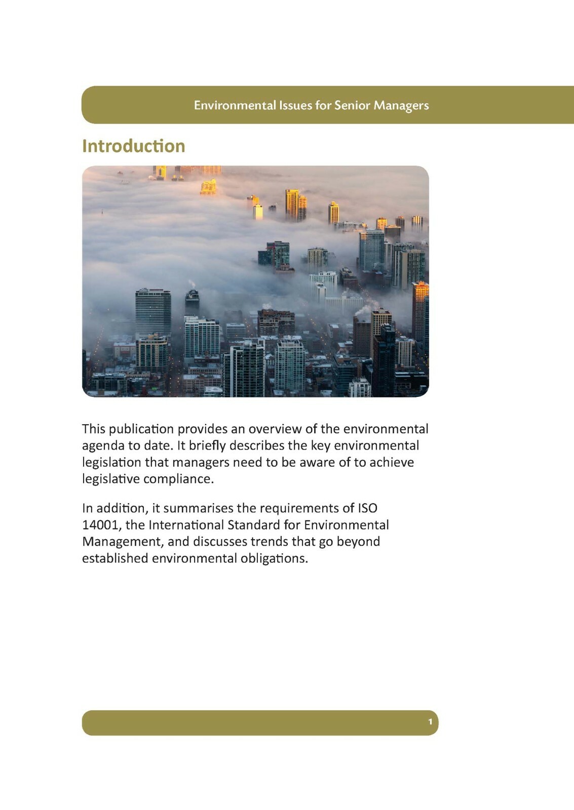 RRC ISO Guide: Environmental Issues for Senior Managers