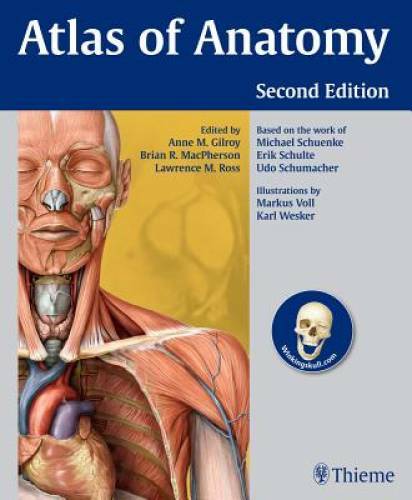 Atlas of Anatomy – Paperback By Gilroy, Anne M – GOOD