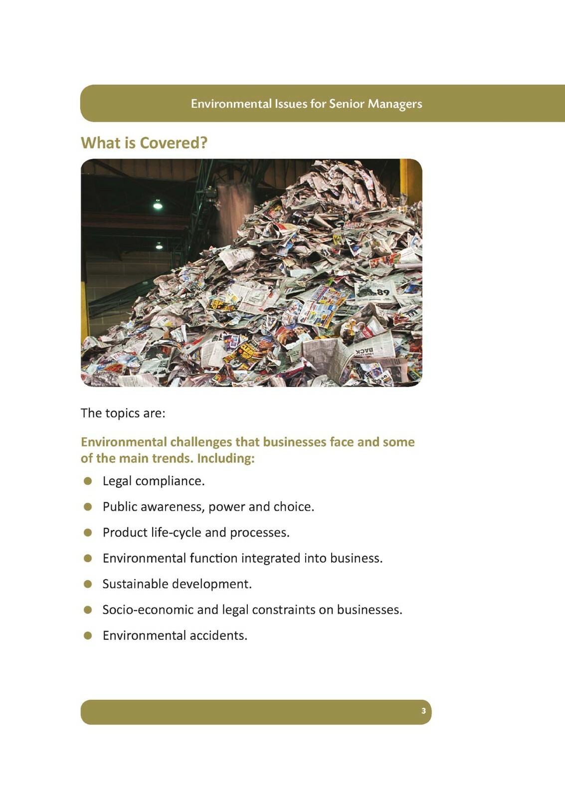 RRC ISO Guide: Environmental Issues for Senior Managers