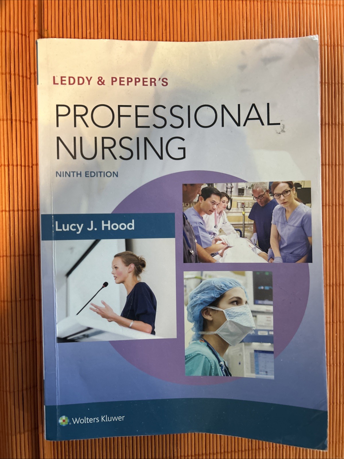 Leddy and Pepper’s Professional Nursing by Lucy Hood (2017, Trade Paperback)