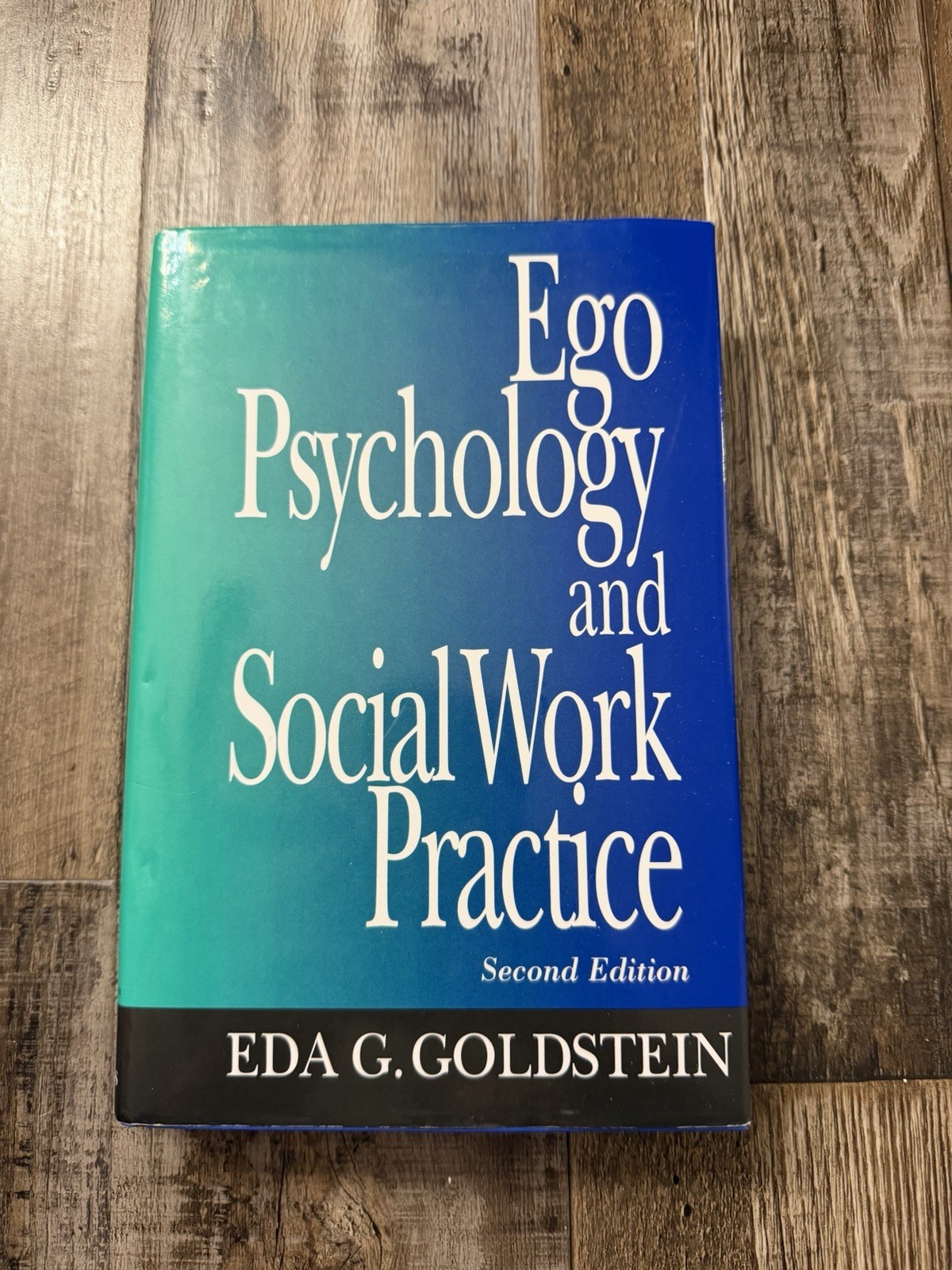 Free Press Ego Psychology & Social Work Practice 2nd Ed Eda G Goldstein PB 1995