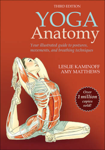 Yoga Anatomy – Paperback By Kaminoff, Leslie – GOOD