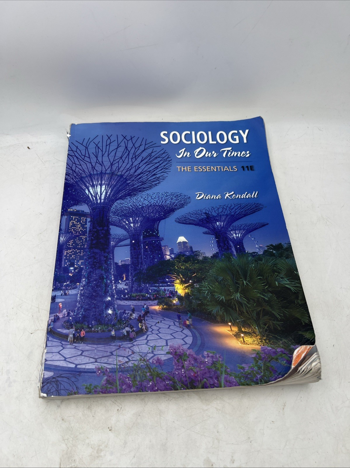 Sociology in Our Times : The Essentials Paperback Diana Kendall