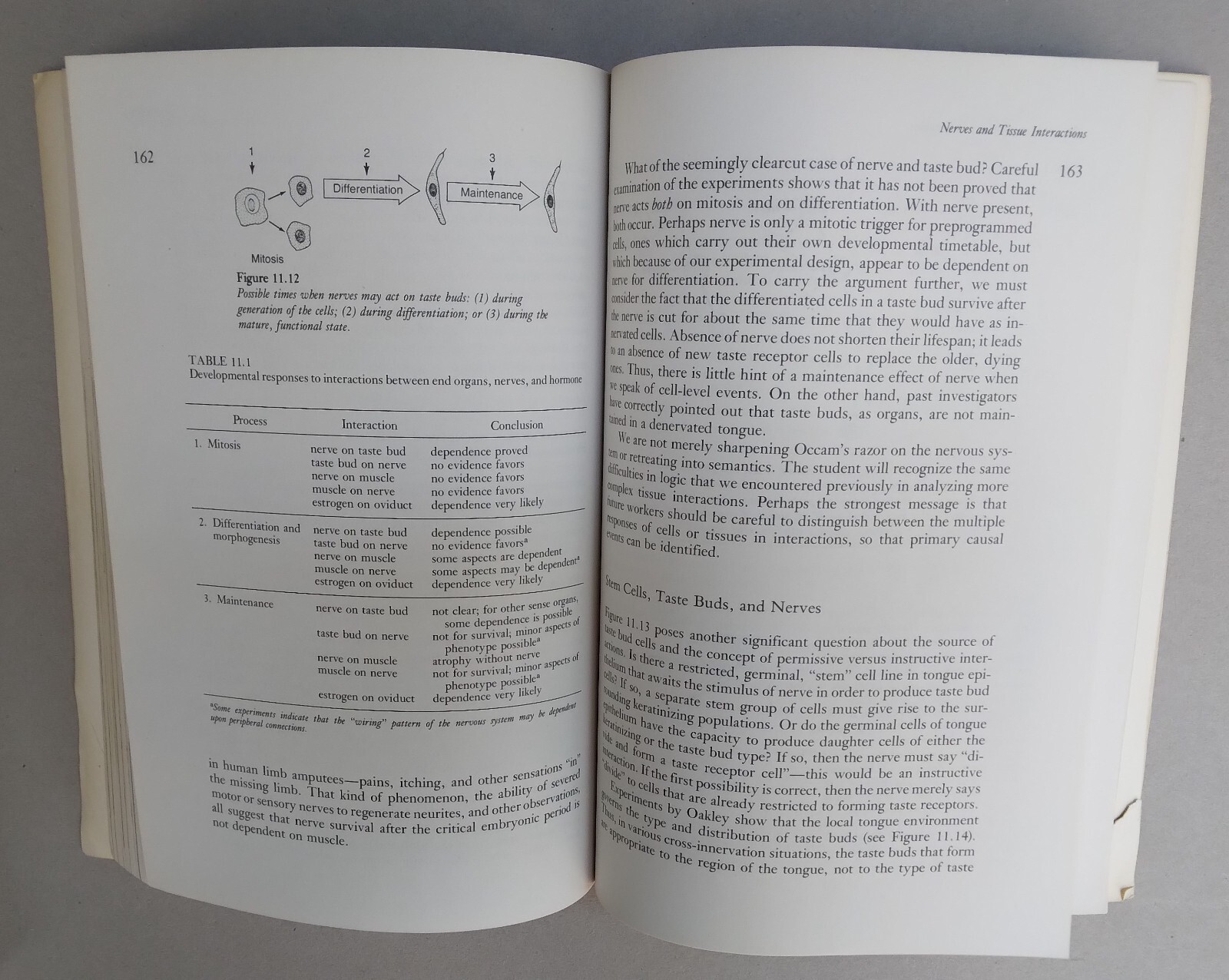 Tissue Interactions and Development–1977-Norman K. Wessells-276 pages-paperback