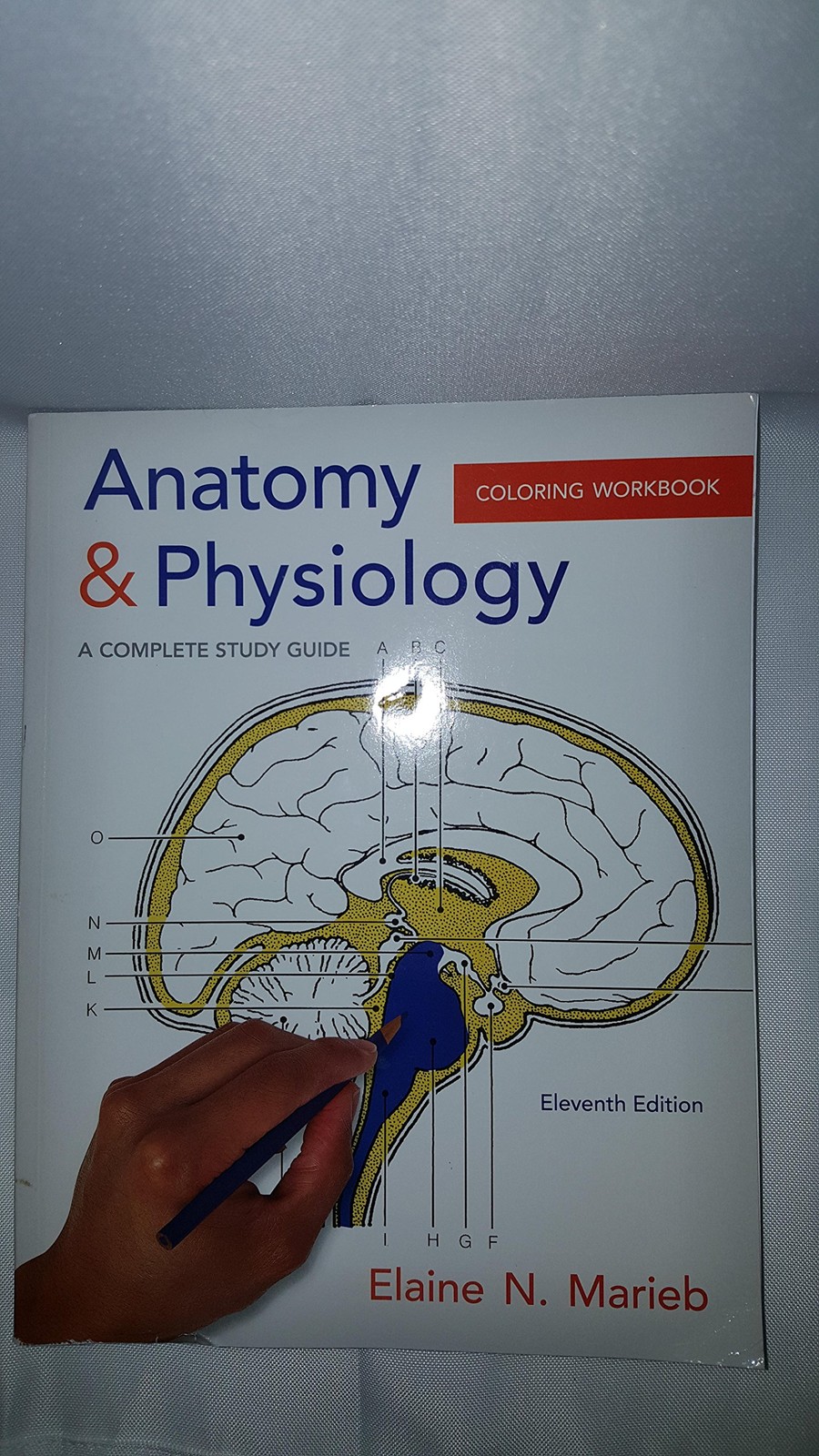 Anatomy & Physiology Coloring Workbook: A Complete Study Guide (11th Edition…