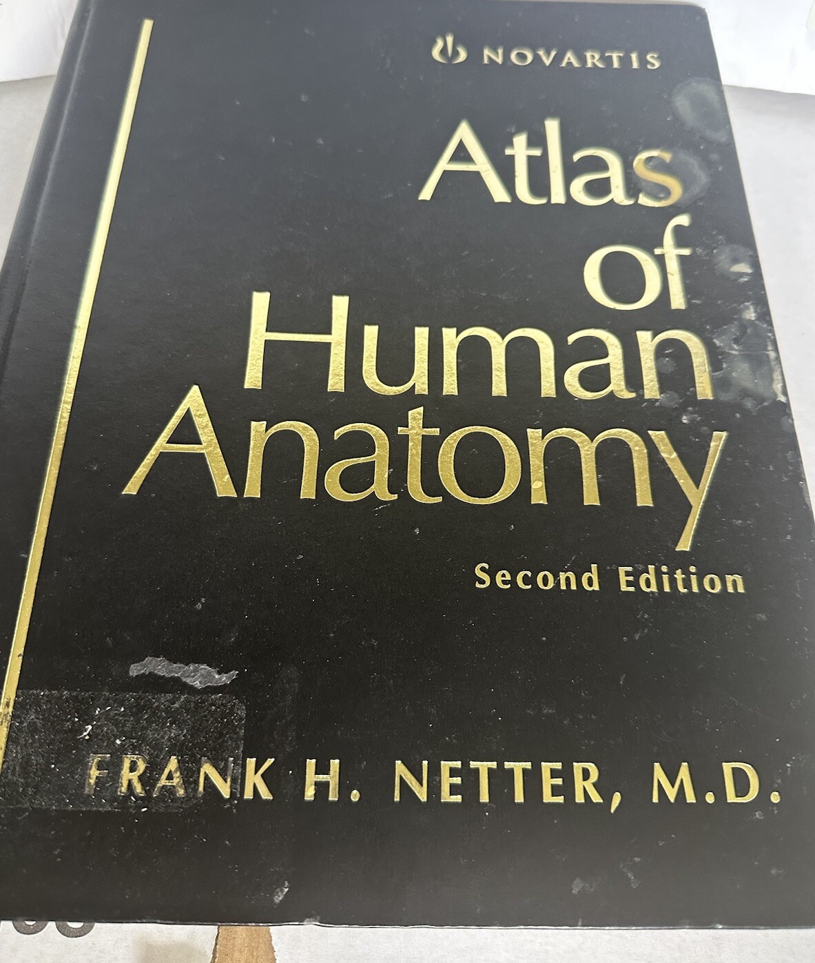 Atlas Of Human Anatomy 2nd Edition By Frank H Netter M.D. Hardcover