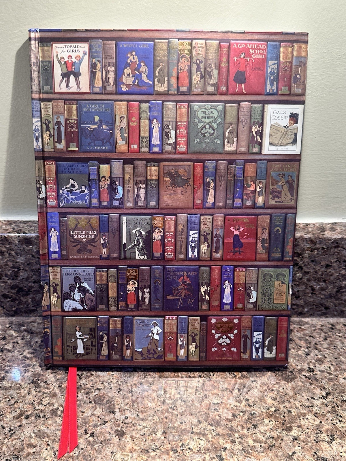 Bodleian Libraries: High Jinks Bookshelves FLAME TREE SKETCH BOOK NEW Sz 11 x 9”
