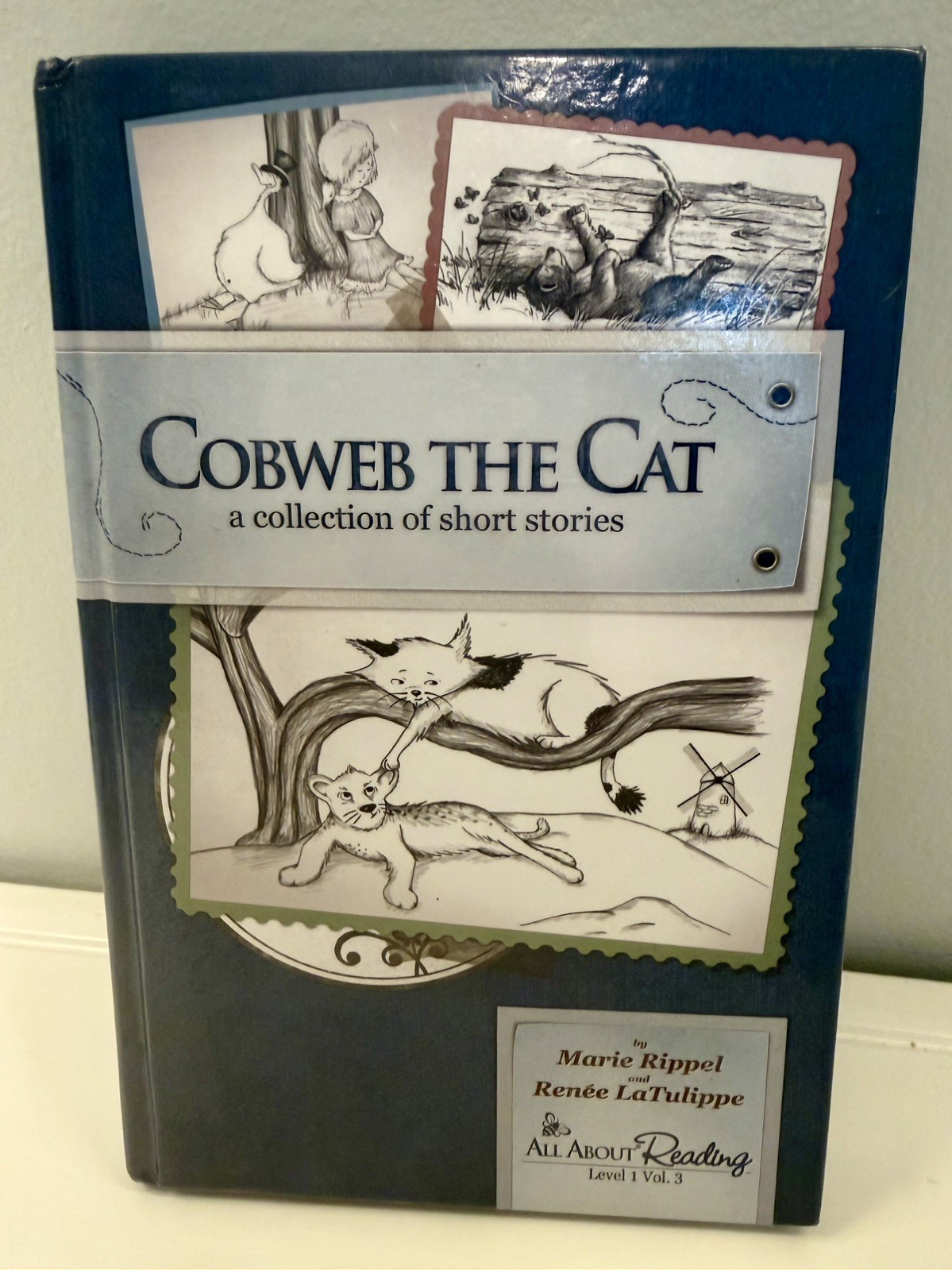 All About Reading Hardcover Book Level 1 Volume 3 Cobweb The Cat – Black & White