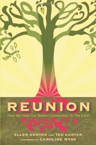 Reunion: How We Heal Our Broken Connection to the Earth