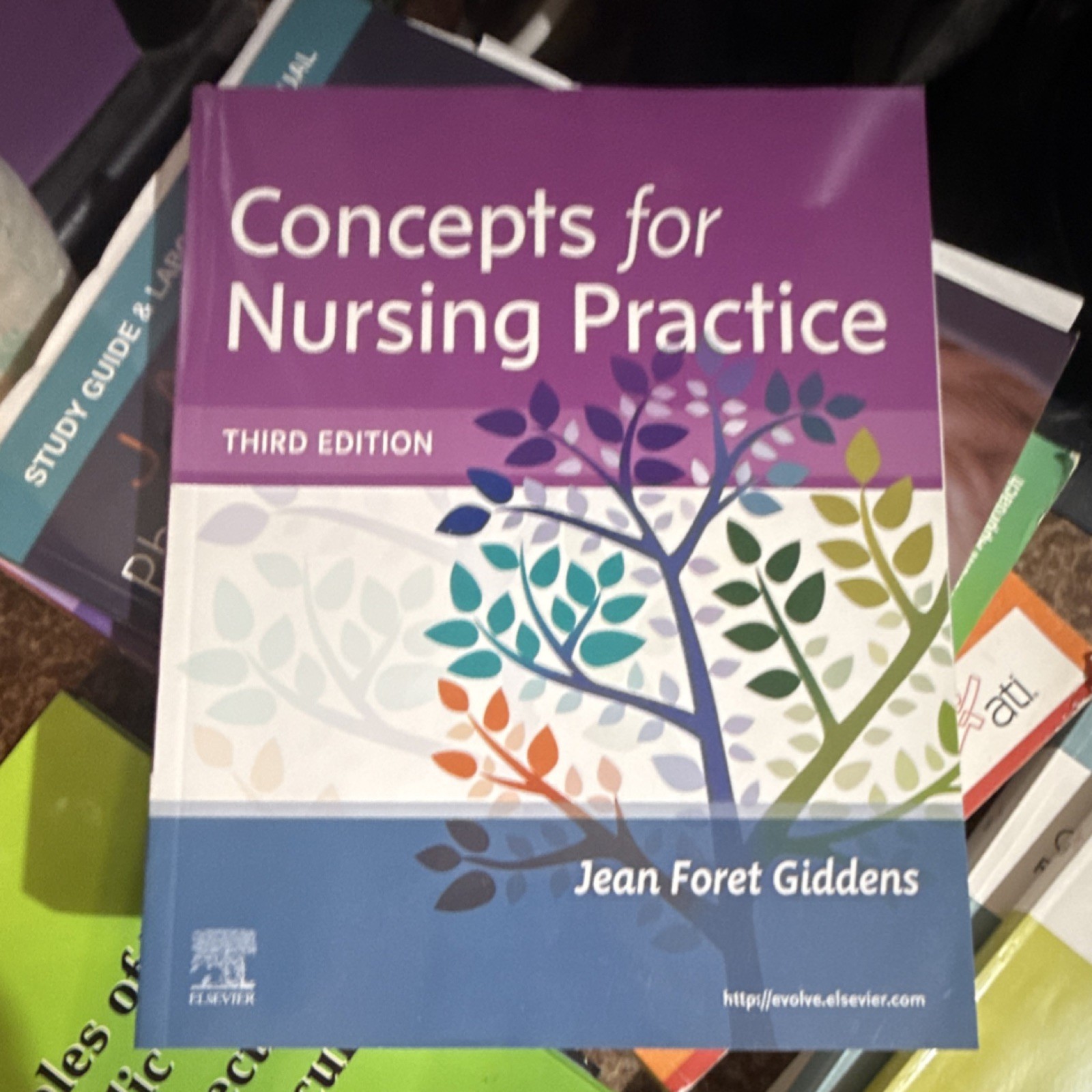 Elsevier Concepts for Nursing Practice 3rd Ed Jean Foret Giddens 2013 PB 576p
